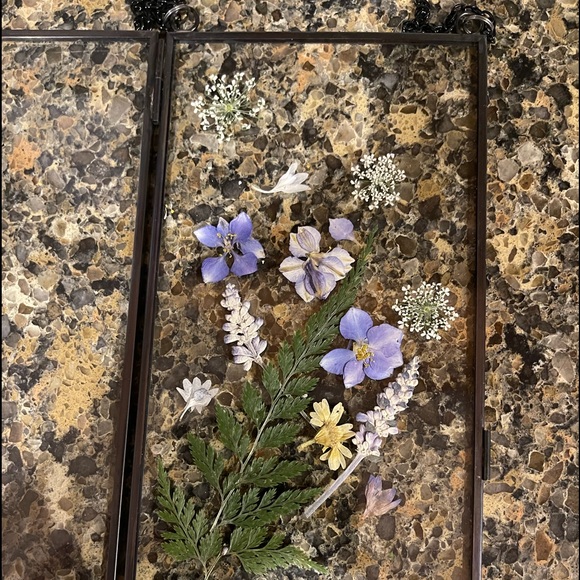 Hand made Glass framed real pressed flowers - Picture 1 of 2